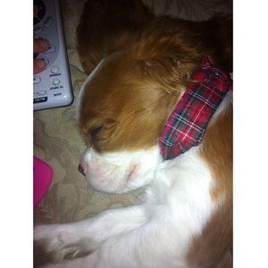 Meet your Posher, Jane